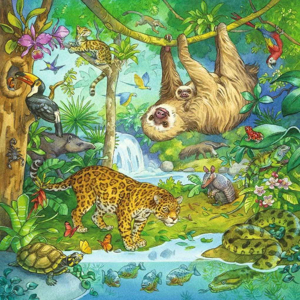 Weitere Ansicht: Ravensburger - Im Urwald, 3 x 49 Teile