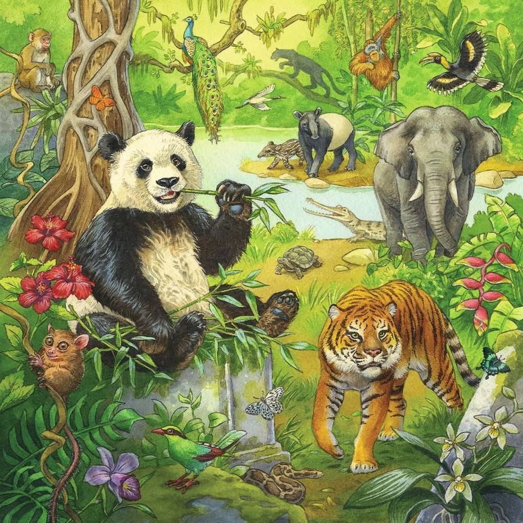 Weitere Ansicht: Ravensburger - Im Urwald, 3 x 49 Teile