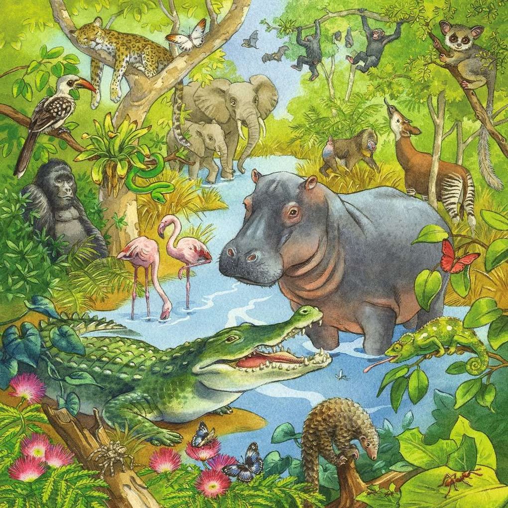 Weitere Ansicht: Ravensburger - Im Urwald, 3 x 49 Teile
