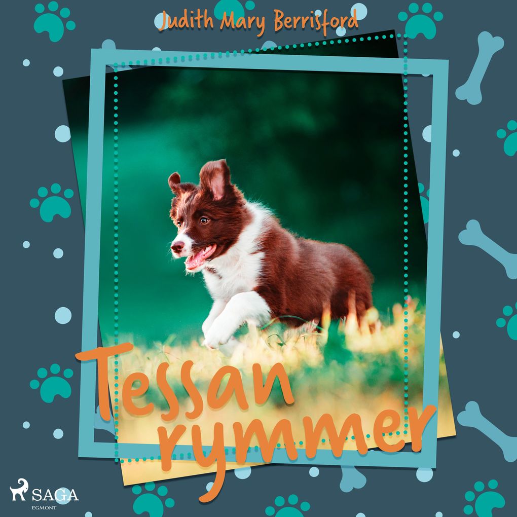 Produktbild: Tessan rymmer | Judith M. Berrisford