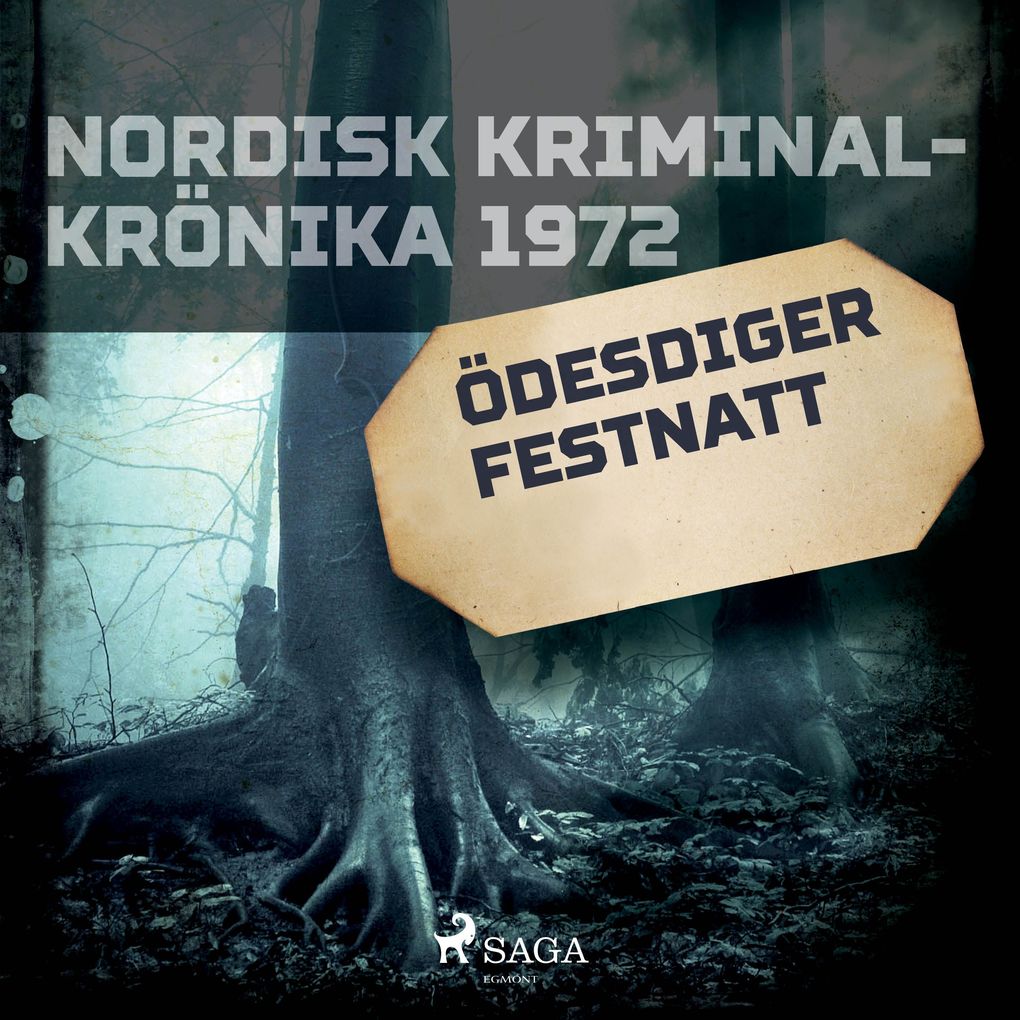 Produktbild: Ödesdiger festnatt | Diverse