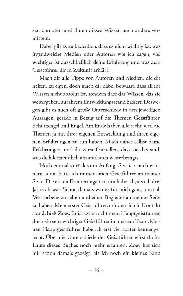 Weitere Ansicht: Deine Geistführer sind bei dir | Pascal Voggenhuber