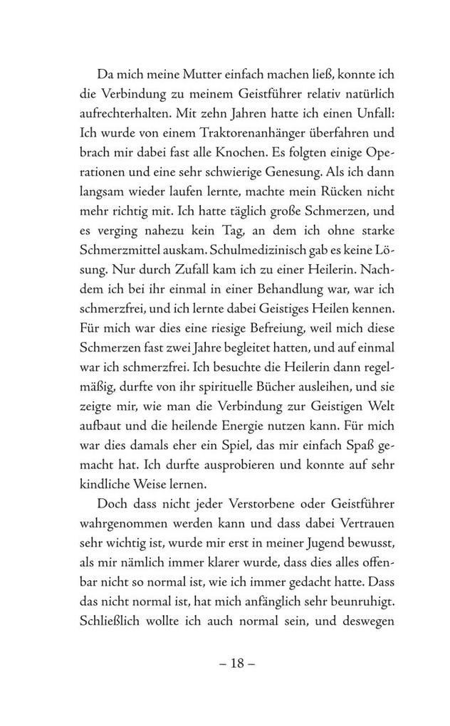 Weitere Ansicht: Deine Geistführer sind bei dir | Pascal Voggenhuber