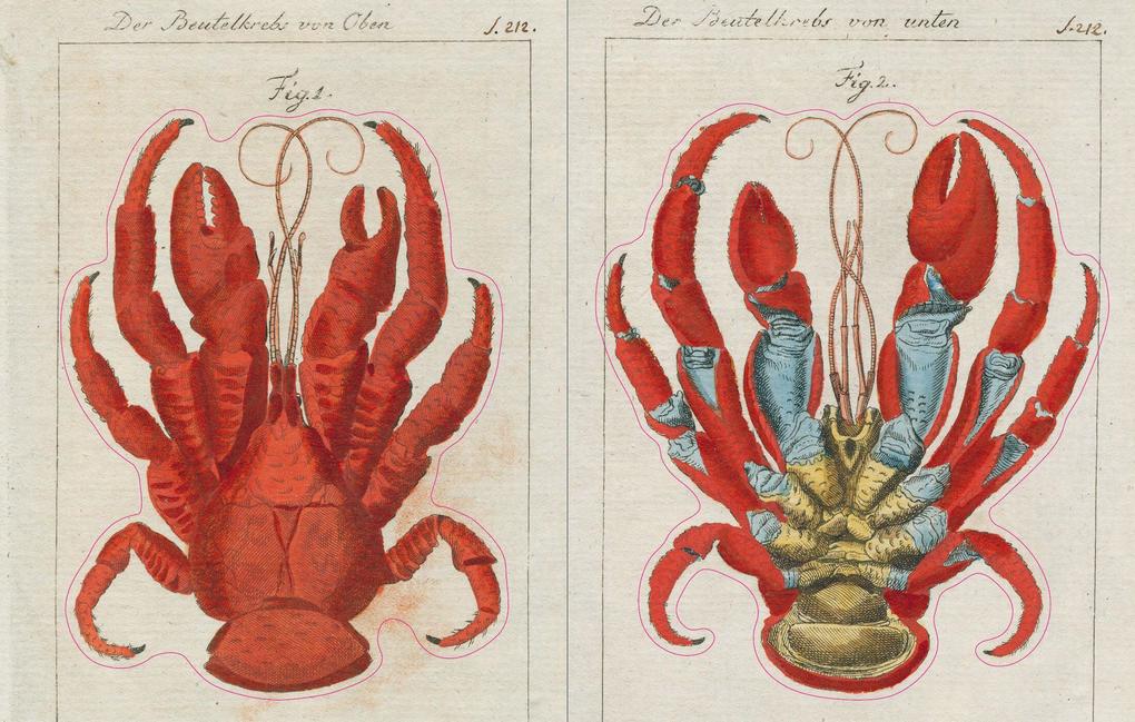 Weitere Ansicht: John Derian Sticker Book | John Derian