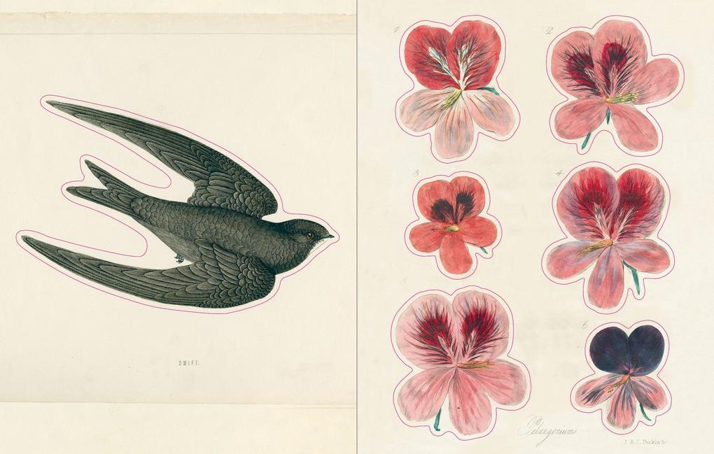 Weitere Ansicht: John Derian Sticker Book | John Derian