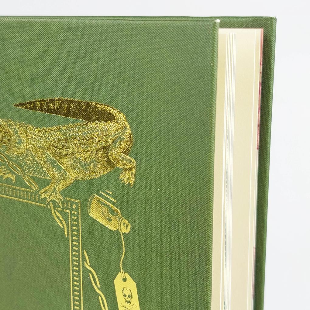 Weitere Ansicht: Das Buch, das nicht gelesen werden wollte | David Sundin