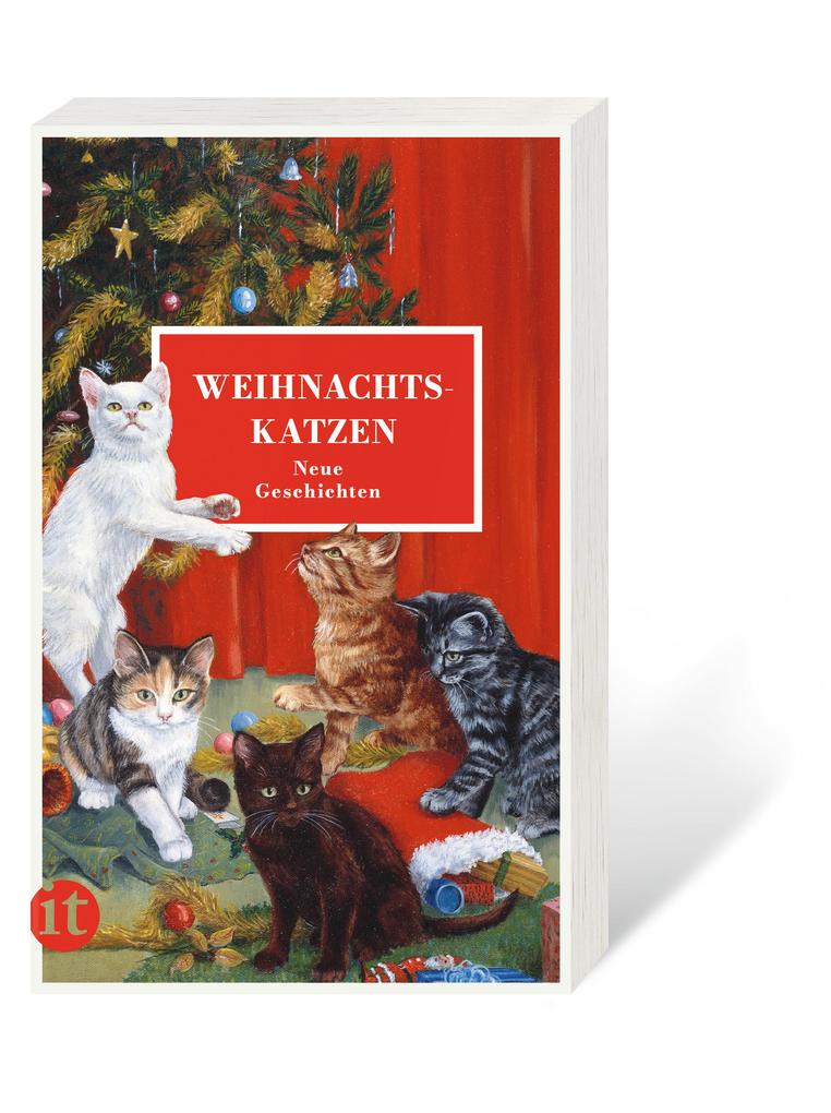 Weitere Ansicht: Weihnachtskatzen
