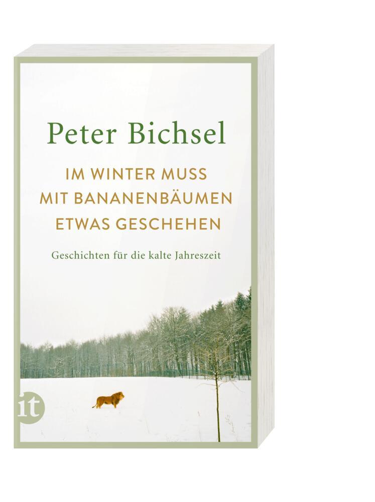 Weitere Ansicht: Im Winter muss mit Bananenbäumen etwas geschehen | Peter Bichsel
