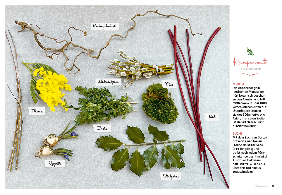Weitere Ansicht: Das Kranzerlbuch | Elisabeth Hammersen, Veronika Halmbacher, Elisabeth Dießl