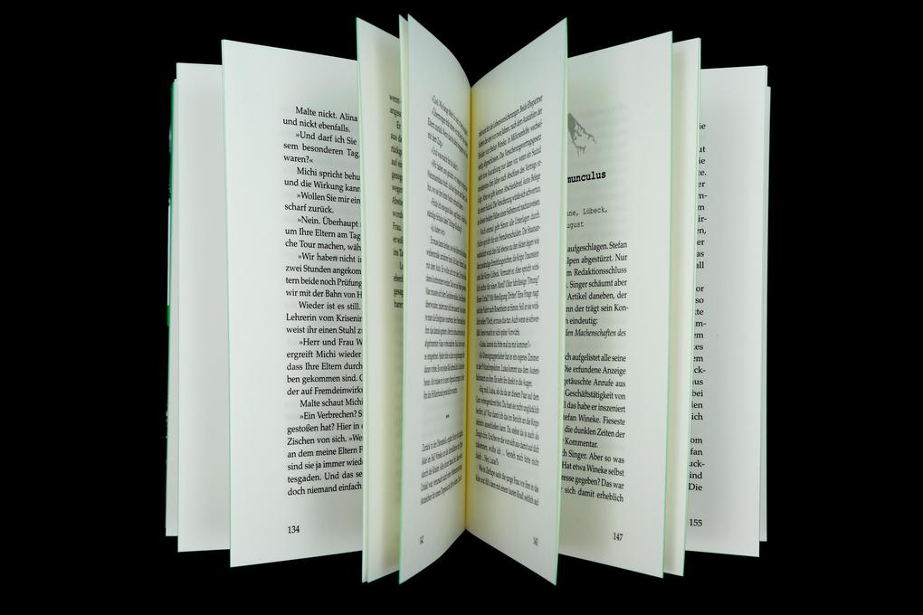 Weitere Ansicht: Mord am Watzmann | Felix Leibrock