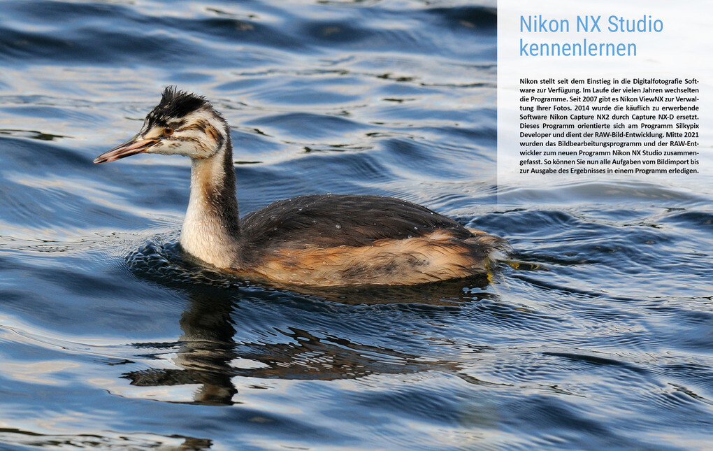 Weitere Ansicht: Nikon NX Studio | Michael Gradias