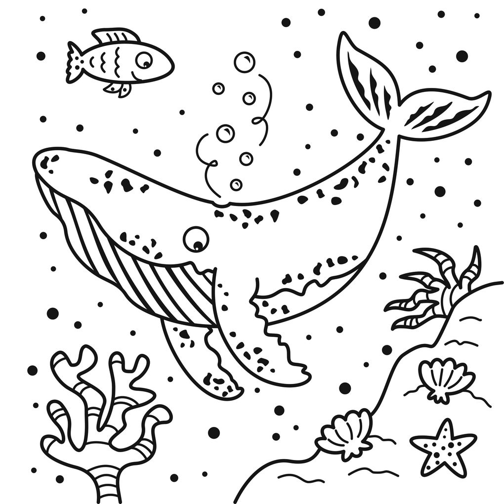 Weitere Ansicht: Mein magischer Wasser-Malspaß - Wilde Tiere | Ilka Röhling