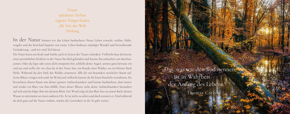 Weitere Ansicht: Das Funkeln der Sterne | Saskia Baisch-Zimmer, Michaela Zach