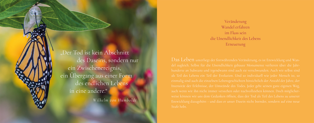 Weitere Ansicht: Das Funkeln der Sterne | Saskia Baisch-Zimmer, Michaela Zach