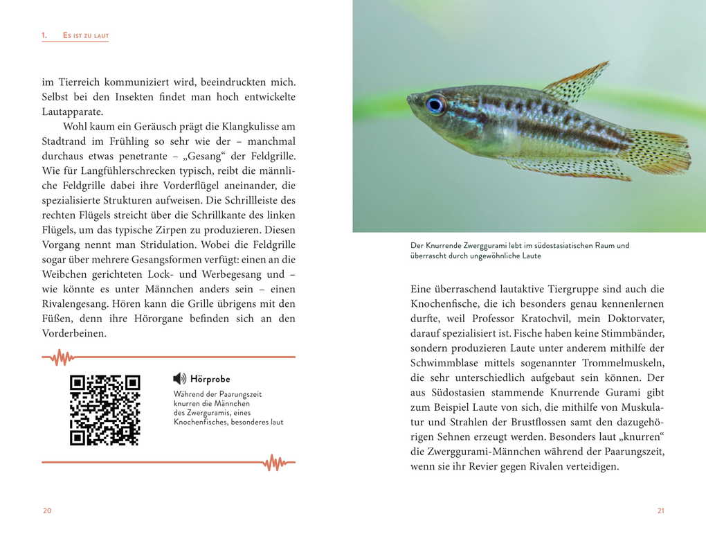 Weitere Ansicht: Von singenden Mäusen und quietschenden Elefanten | Angela Stöger