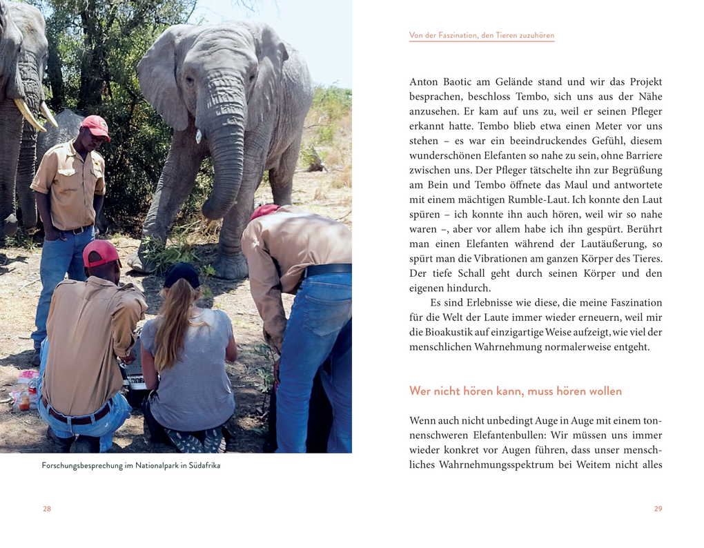 Weitere Ansicht: Von singenden Mäusen und quietschenden Elefanten | Angela Stöger