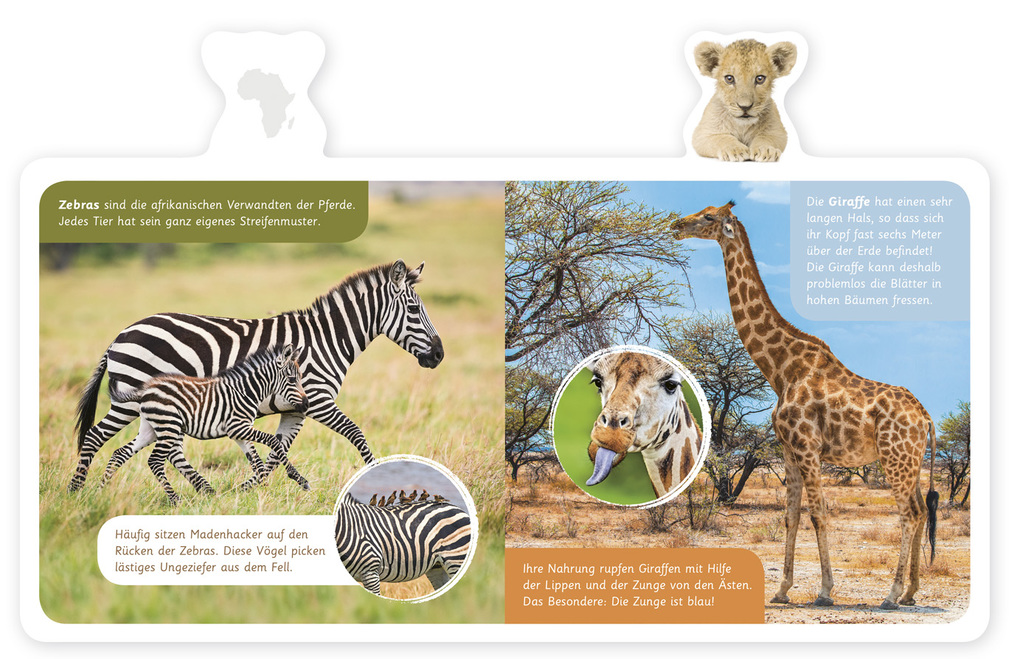 Weitere Ansicht: Tiere in Afrika
