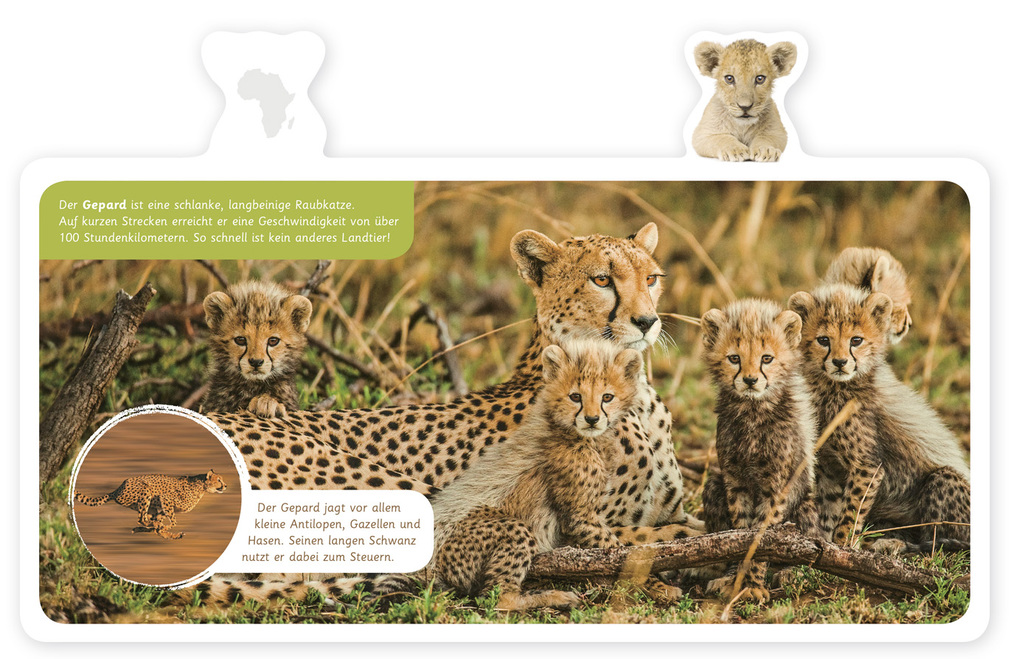 Weitere Ansicht: Tiere in Afrika