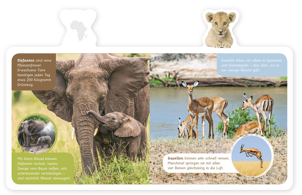 Weitere Ansicht: Tiere in Afrika