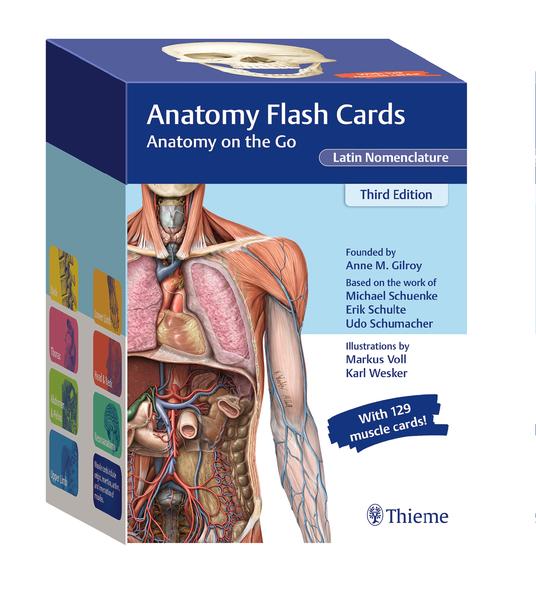 Produktbild: Anatomy Flash Cards, Latin Nomenclature | Anne M Gilroy