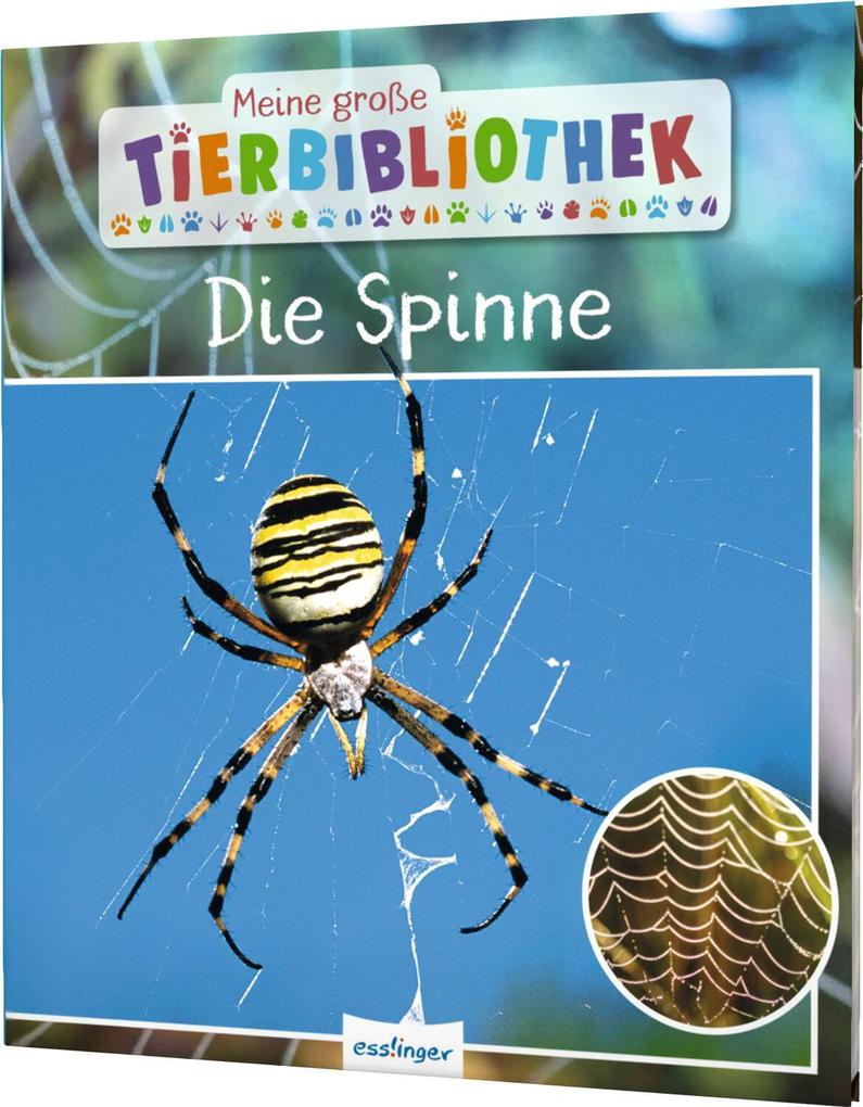 Produktbild: Meine große Tierbibliothek: Die Spinne | Jens Poschadel