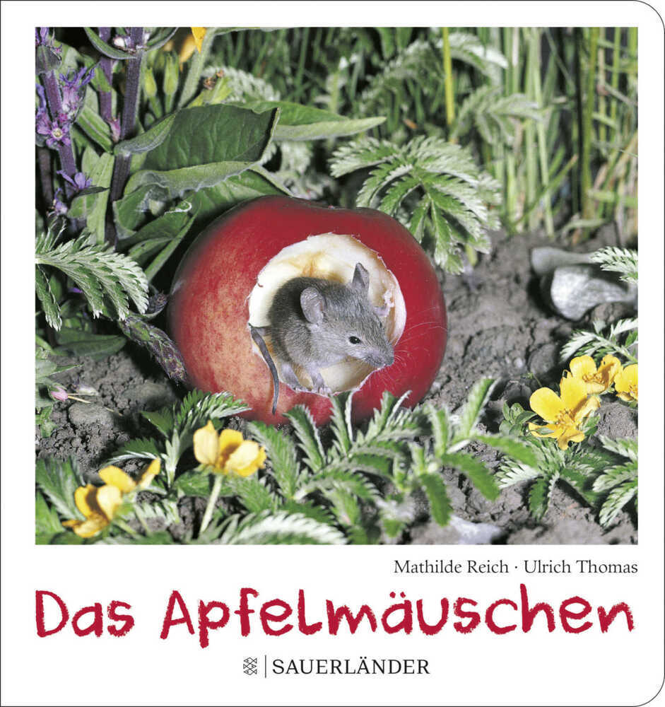 Produktbild: Das Apfelmäuschen (Pappbilderbuch) | Mathilde Reich, Ulrich Thomas