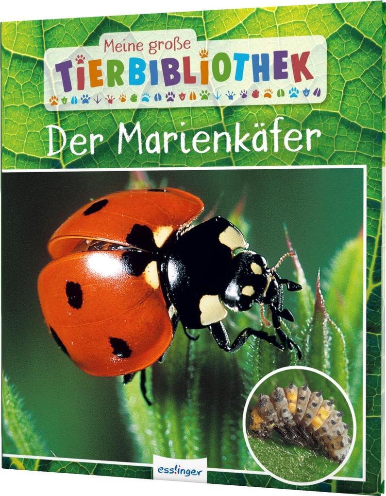 Produktbild: Meine große Tierbibliothek: Der Marienkäfer | Valérie Tracqui