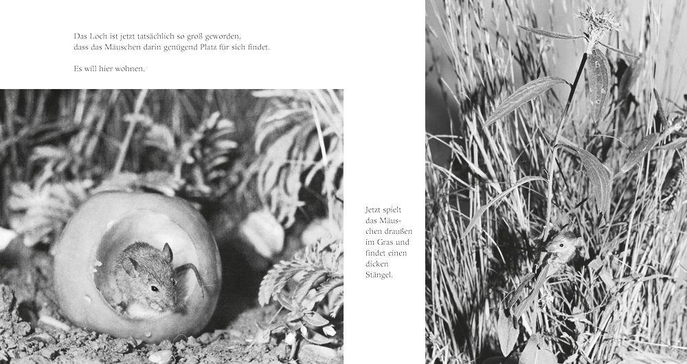 Weitere Ansicht: Das Apfelmäuschen (Pappbilderbuch) | Mathilde Reich, Ulrich Thomas