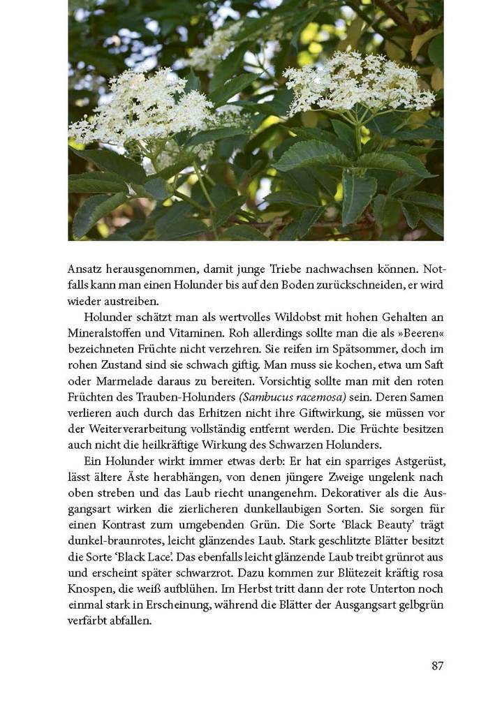 Weitere Ansicht: Lebensraum Gehölz | Agnes Pahler