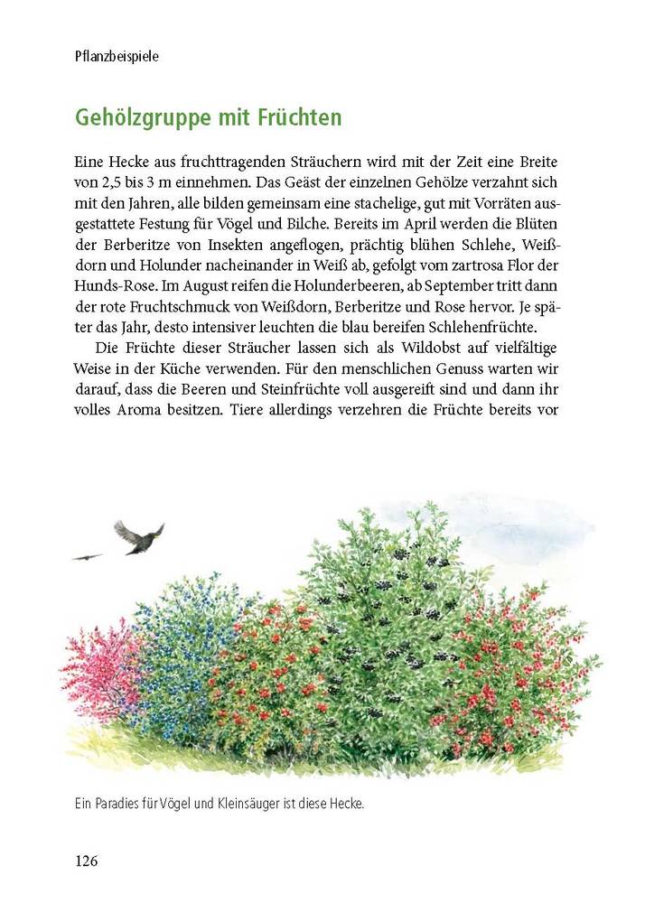 Weitere Ansicht: Lebensraum Gehölz | Agnes Pahler
