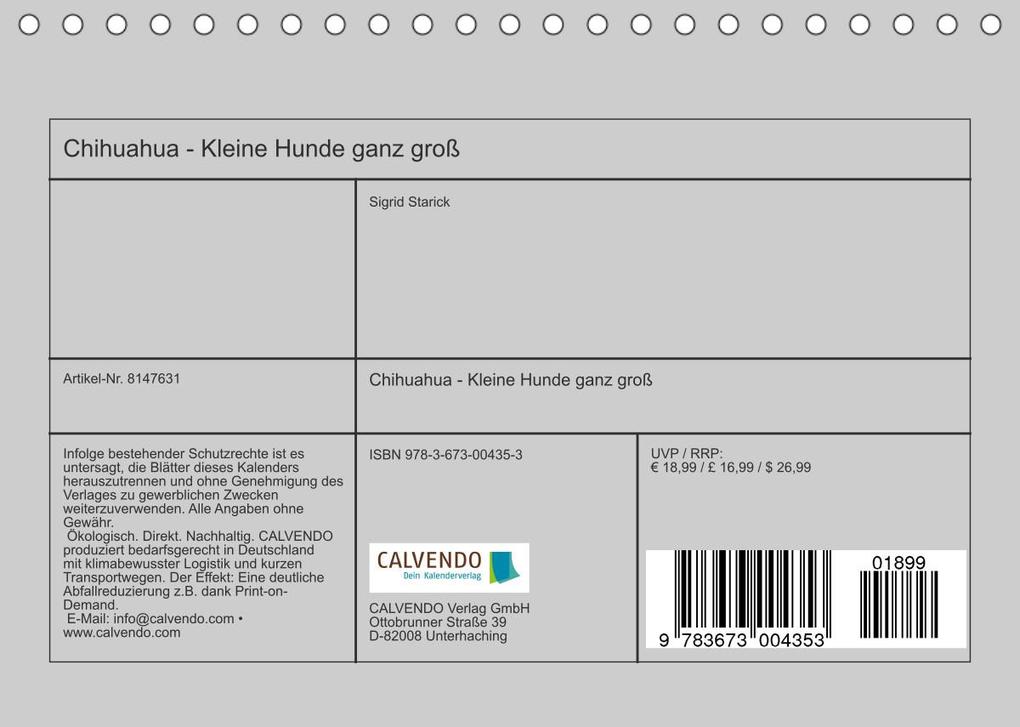 Weitere Ansicht: Chihuahua - Kleine Hunde ganz groß (Tischkalender 2022 DIN A5 quer) | Sigrid Starick