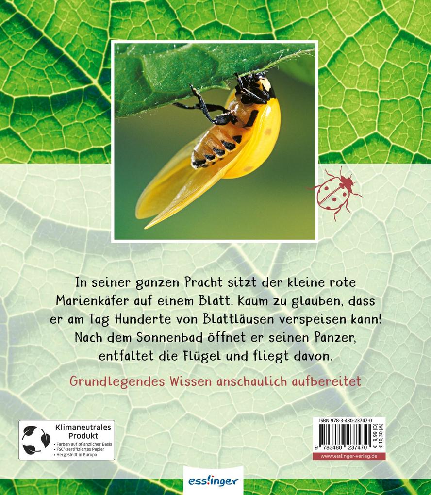 Weitere Ansicht: Meine große Tierbibliothek: Der Marienkäfer | Valérie Tracqui