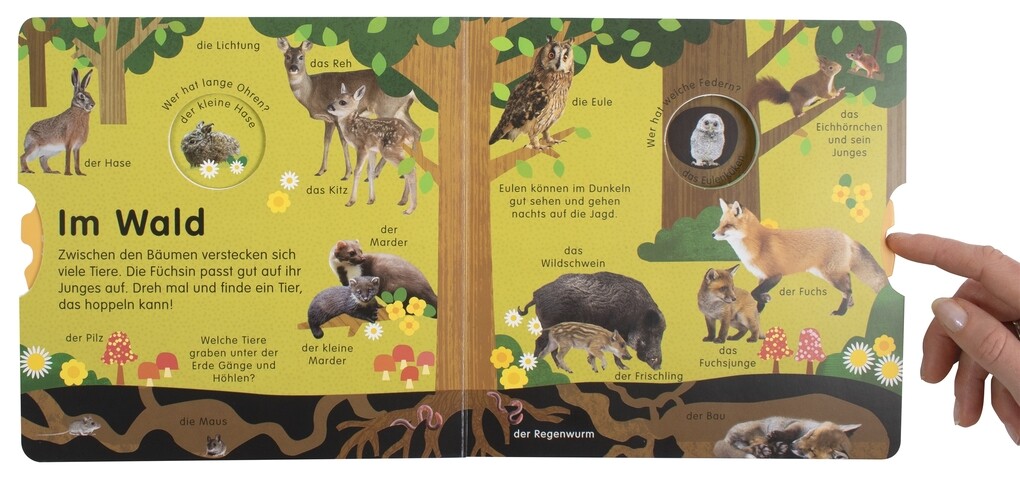 Weitere Ansicht: Erstes Lernen Drehen. So viele Tierkinder