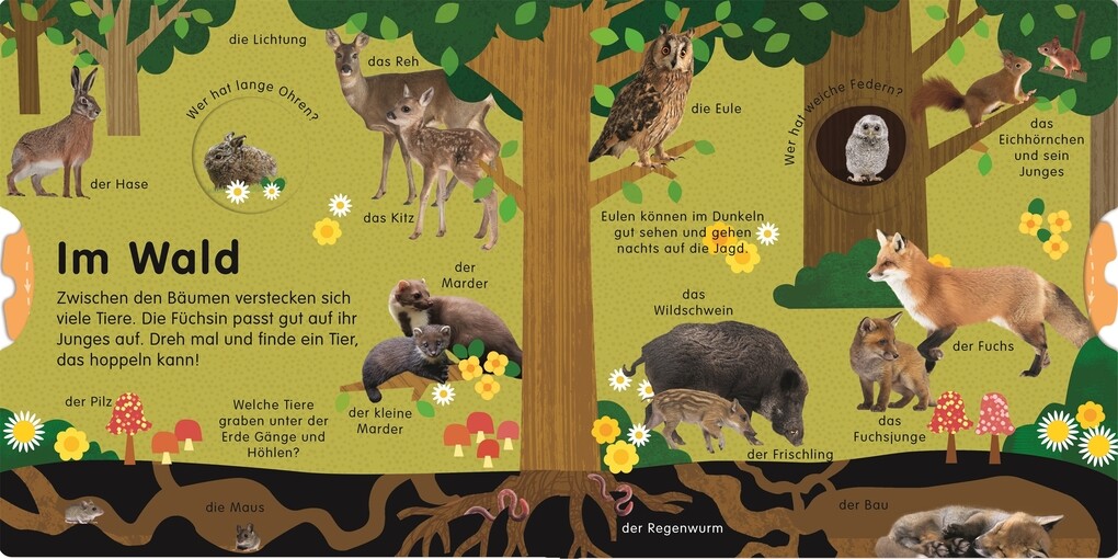 Weitere Ansicht: Erstes Lernen Drehen. So viele Tierkinder