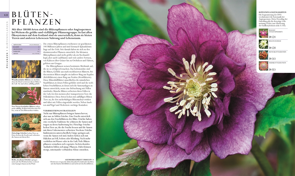 Weitere Ansicht: Die Natur in über 5000 Fotos