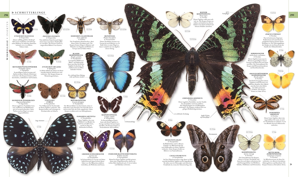 Weitere Ansicht: Die Natur in über 5000 Fotos