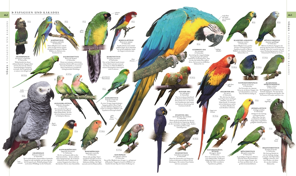 Weitere Ansicht: Die Natur in über 5000 Fotos