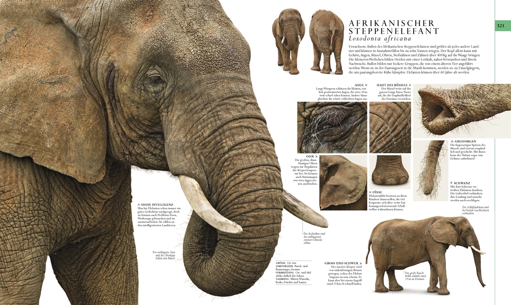 Weitere Ansicht: Die Natur in über 5000 Fotos