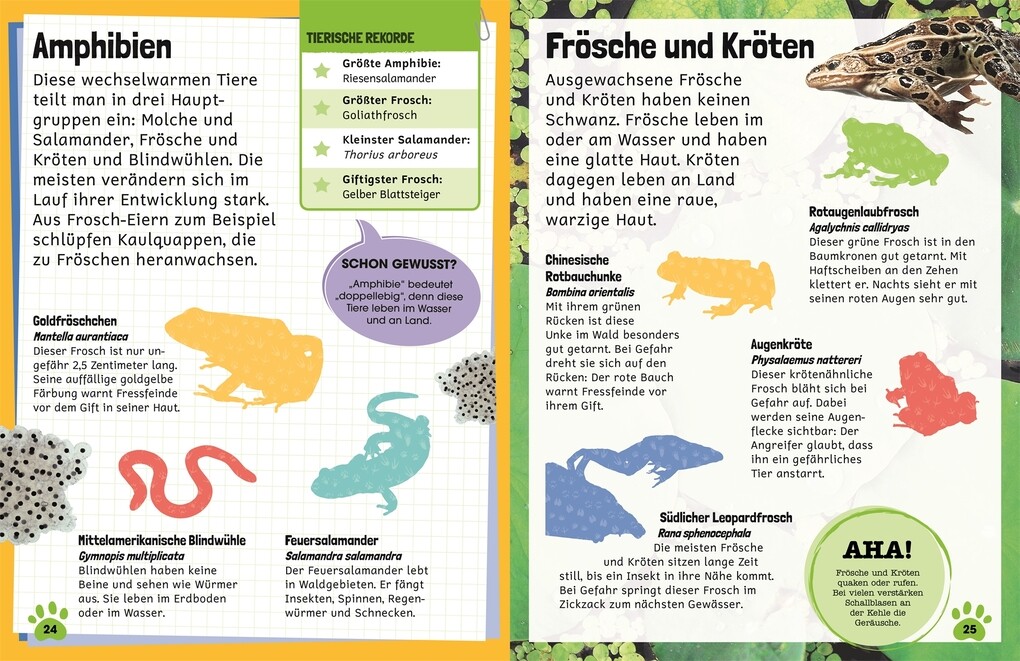 Weitere Ansicht: Sticker-Lexikon. Tiere