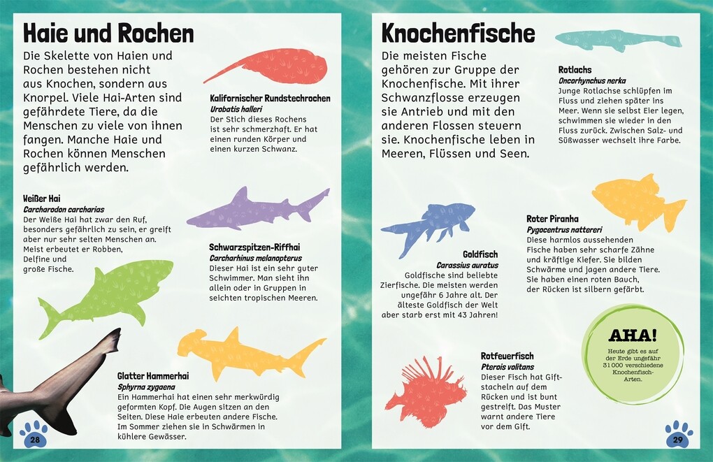 Weitere Ansicht: Sticker-Lexikon. Tiere