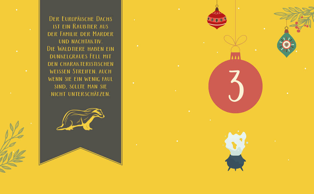 Weitere Ansicht: Mein Adventskalender-Backbuch für Potterheads and Friends | Jasmin Lehmann