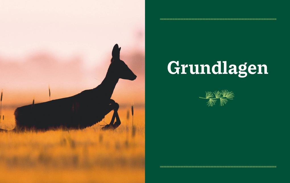 Weitere Ansicht: Einfach Wild | Gabriel Arendt