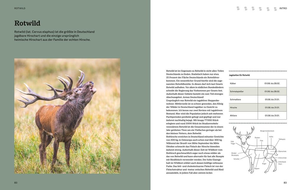 Weitere Ansicht: Einfach Wild | Gabriel Arendt