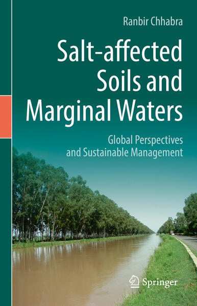 Produktbild: Salt-affected Soils and Marginal Waters | Ranbir Chhabra