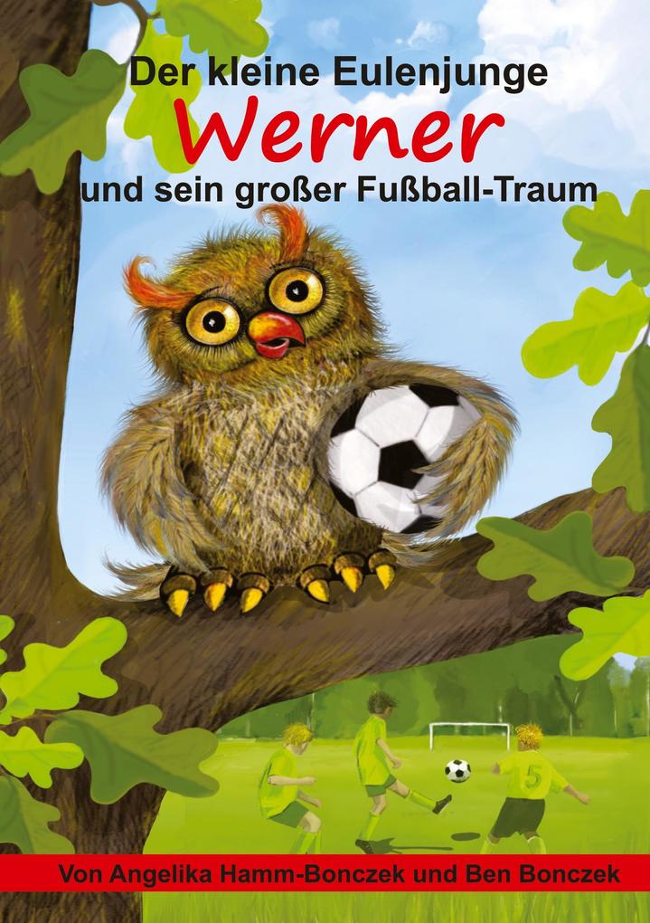 Produktbild: Der kleine Eulenjunge Werner und sein großer Fußball-Traum | Angelika Hamm-Bonczek