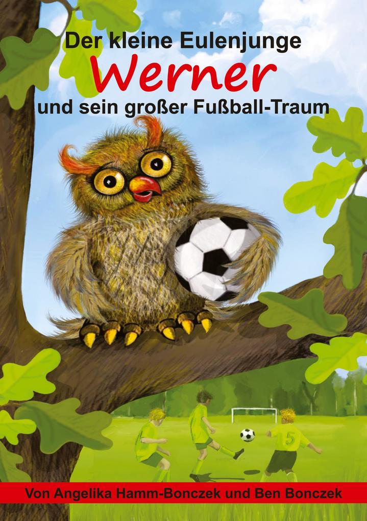 Produktbild: Der kleine Eulenjunge Werner und sein großer Fußball-Traum | Angelika Hamm-Bonczek