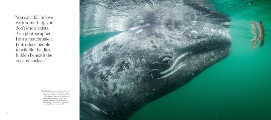 Weitere Ansicht: Wild Seas | Thomas Peschak