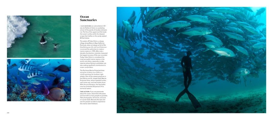 Weitere Ansicht: Wild Seas | Thomas Peschak