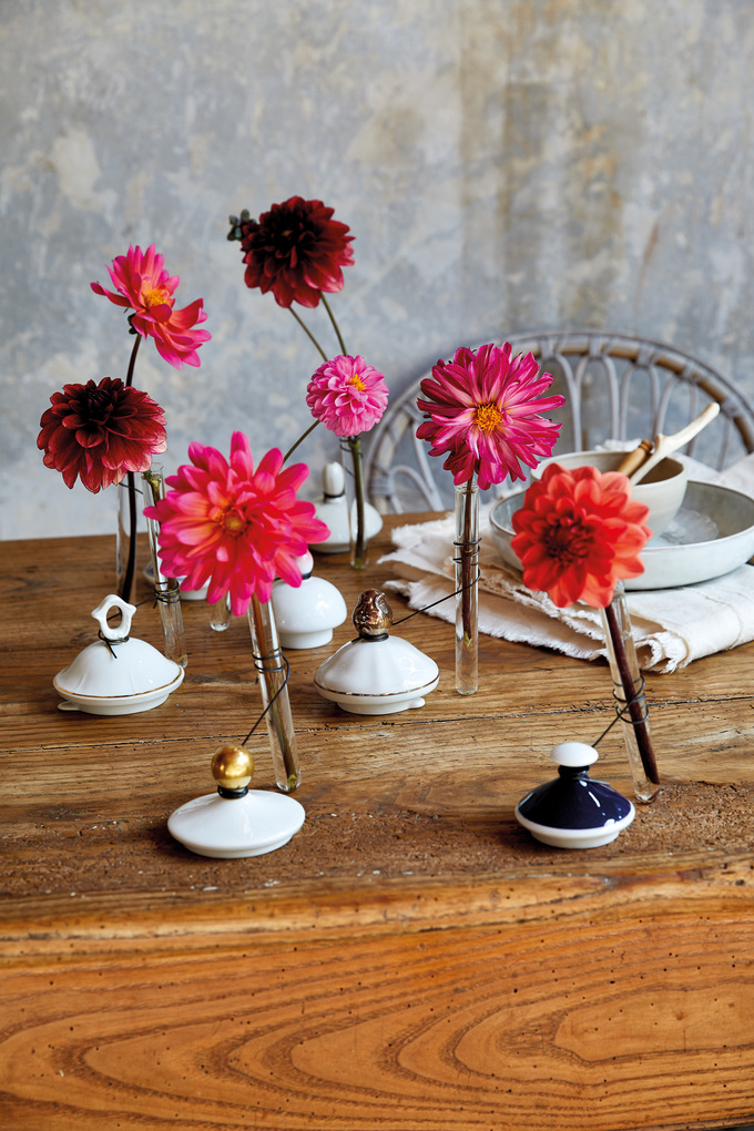 Weitere Ansicht: Natürliche Deko | Dany Eschenbüscher, Team BLOOM's, Julia Bramhoff