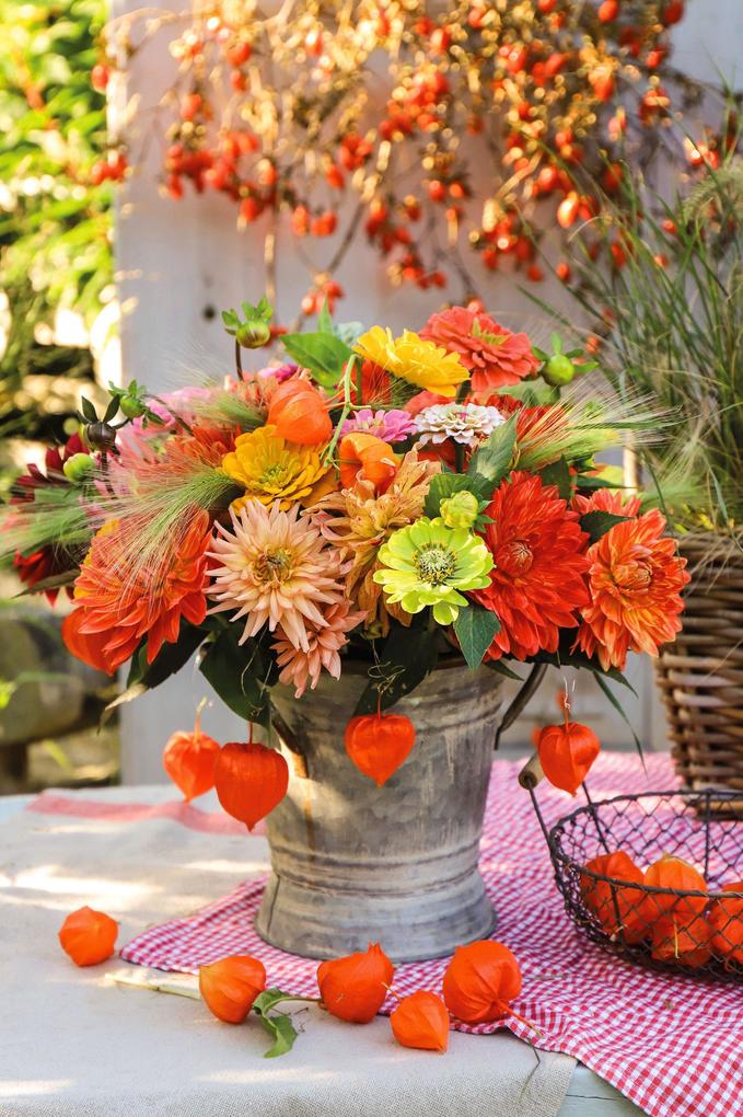Weitere Ansicht: Herbst | Ulrike Schmidt